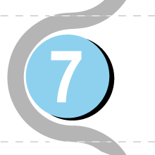 step_7_220